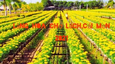 Sự Bùng Nổ Của Video Ngắn và Trí Tuệ Nhân Tạo: Vai Trò Thiết Yếu Của Đào Tạo Kỹ Năng Sáng Tạo Nội Dung_Học biên tập video trực tuyến