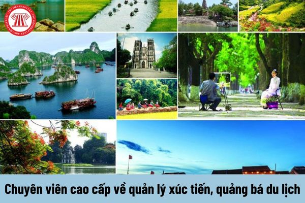Hotspot Matrix và Bảo Anh, Phương Mỹ Chi và loạt sao Việt bị réo tên vào drama của Bảo_chiến lược hiệu quả tiếp thị video