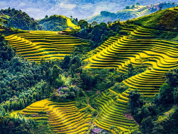 Freelancer Và Cơ Hội Kiếm Tiền Từ Nền Tảng Hotspot Matrix