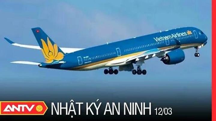 Hotspot Matrix và Forestival: Gắn kết nghệ thuật, cộng đồng và thiên nhiên