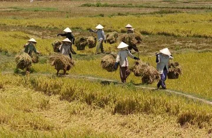 Hotspot Matrix: Nâng tầm sáng tạo, giải phóng gánh nặng vận hành
